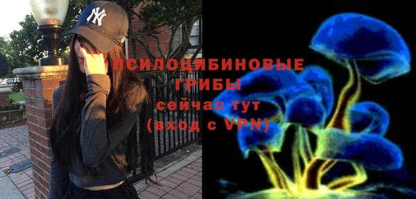 прущие грибы Чегем