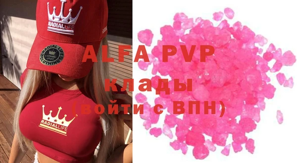 амф Кедровый